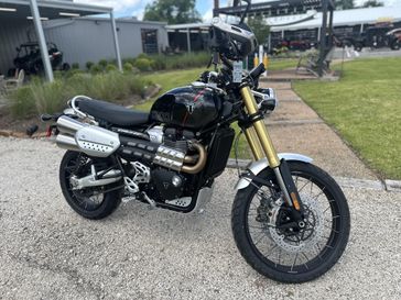 New 2025 Triumph Scrambler 1200 XE 