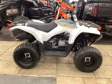 2024 Yamaha GRIZZLY 90 WHITE AND ARMOR GRAY