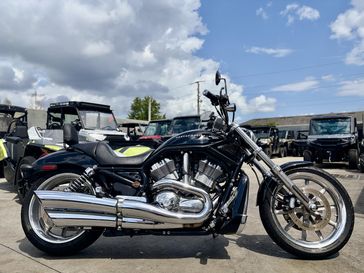 Used 2005 HARLEY VRSC B VRod 