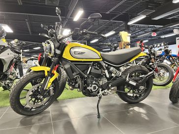 2023 Ducati SCRAMBLER ICON in a YELLOW exterior color. Cross Country Cycle 201-288-0900 crosscountrycycle.net 