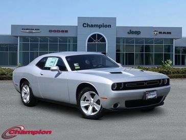 2023 Dodge Challenger SXT in a Triple Nickel exterior color and HOUNDSTOOTHinterior. Champion Chrysler Jeep Dodge Ram 800-549-1084 pixelmotiondemo.com 