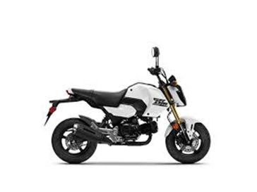 New 2025 Honda Grom 
