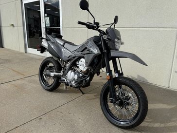 2025 Kawasaki KLX 300SM