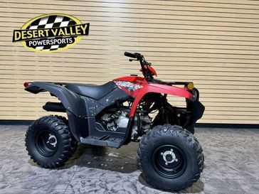 2025 Yamaha Grizzly 110 