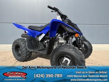 2025 Yamaha RAPTOR 110