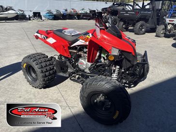 New 2026 Kayo STORM 300 