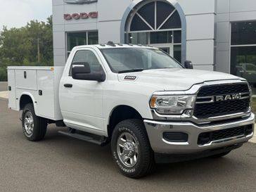 Bright White Clear Coat