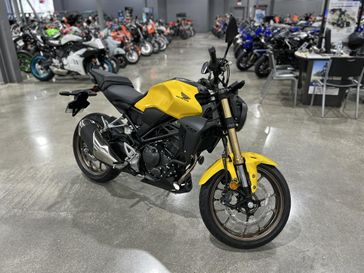 New 2025 Honda CB300R ABS 