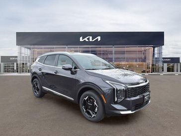 Panthera Metal Gray