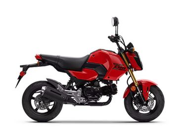 New 2025 Honda Grom 