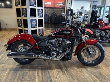 New 2025 Indian Motorcycle SCOUT LIMITED, TEC, 49ST Limited + Tech 