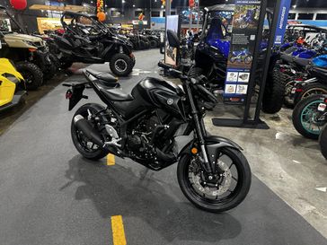 2025 Yamaha MT-03 