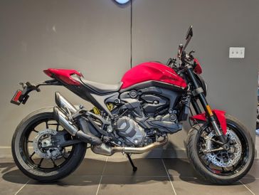 2024 Ducati MONSTER PLUS