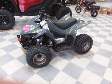 New 2024 KYMCO 90 MONGOOSE 