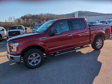 2015 Ford F-150 XLT's photo