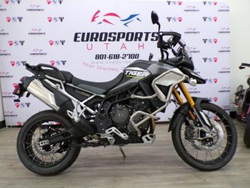 New 2024 Triumph TIGER 900 ARAGON RALLY 