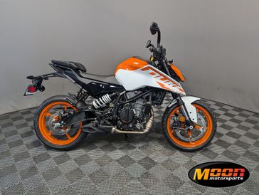 2024 KTM 250 DUKE 