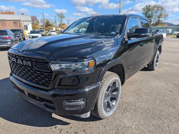 Diamond Black Crystal Pearl Coat