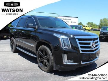 2015 Cadillac Escalade Luxury in a BLACK exterior color and Jet Blackinterior. Watson's Manistee Chrysler Inc 231-299-8691 watsonsmanisteechrysler.com 
