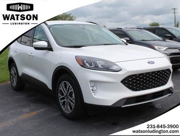 2021 Ford Escape SEL in a WHITE exterior color and Sandstoneinterior. Watson's Manistee Chrysler Inc 231-299-8691 watsonsmanisteechrysler.com 