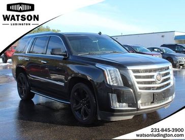 2015 Cadillac Escalade Luxury in a BLACK exterior color and Jet Blackinterior. Watson Ludington Chrysler 231-239-6355 