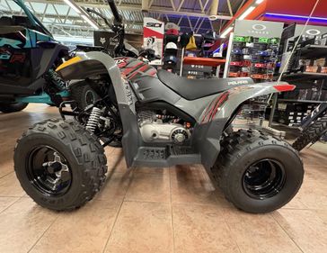 2024 Polaris PHOENIX 200 