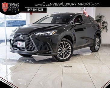 2024 Lexus NX 350 Premium