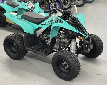 2025 Yamaha Raptor 110 