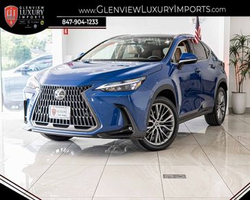 2024 Lexus NX 350h Premium