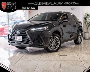 2024 Lexus NX 350 Premium