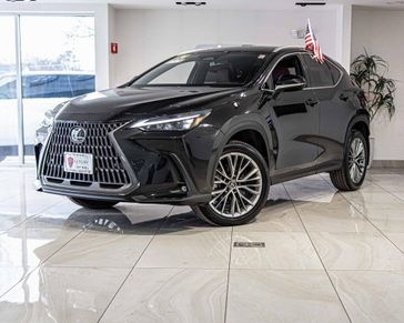 2024 Lexus NX 350 Premium