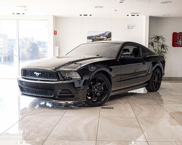 Used 2014 Ford Mustang V6 Premium