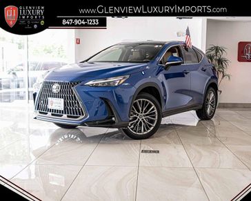 2024 Lexus NX 350h Premium