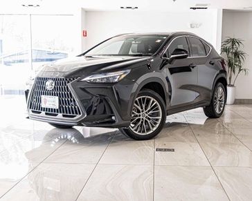 2024 Lexus NX 350 Premium