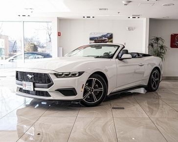 Used 2024 Ford Mustang EcoBoost Premium