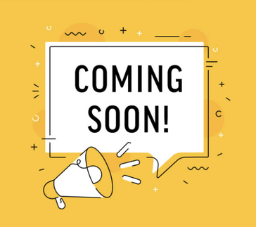 2024 BMW R 18 Roctane - BLACK STORM METALLIC 