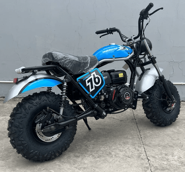 New 2025 TrailMaster Hurricane 200 Pro 