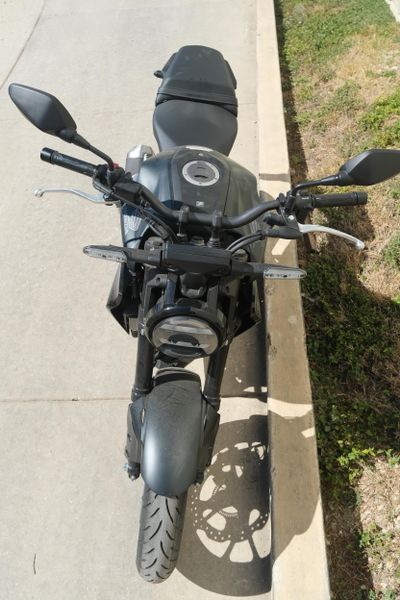 NEW 2025 HONDA CB300R ABS Image 8