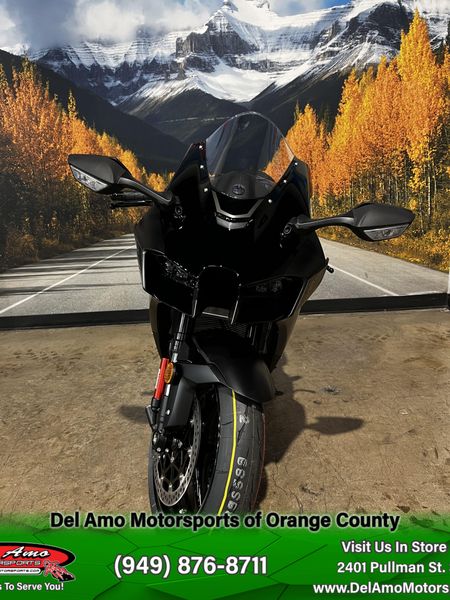 2025 Kawasaki NINJA ZX-10R ABSImage 13