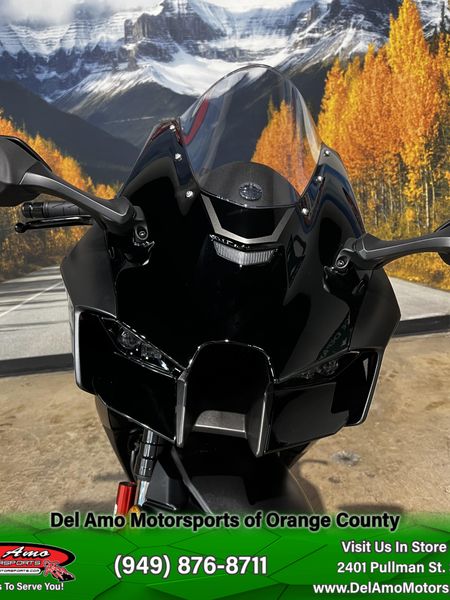 2025 Kawasaki NINJA ZX-10R ABSImage 13