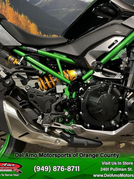 2025 Kawasaki Z900 SE ABS Image 10