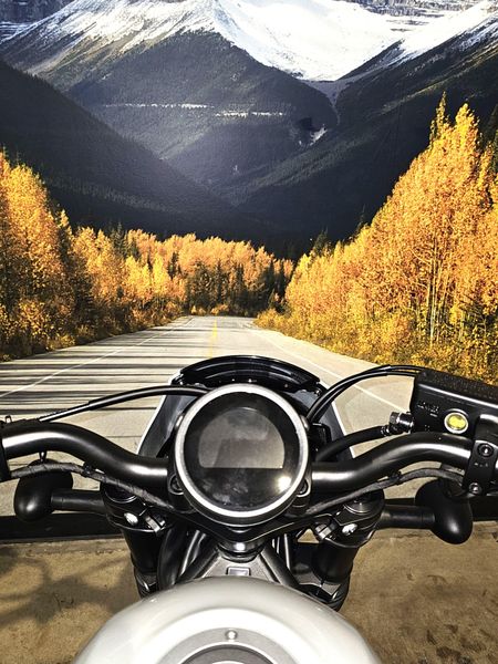 2024 Honda REBEL 500 ABS SE Image 12