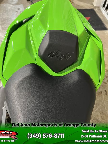 2024 Kawasaki NINJA ZX-10RRImage 16