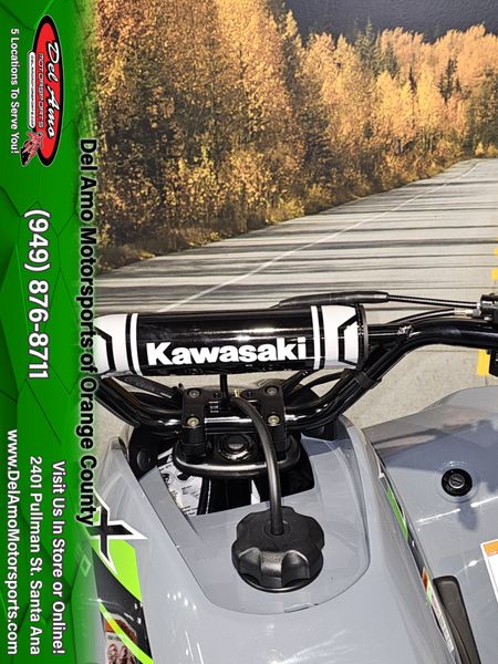 2025 Kawasaki KFX 90Image 11