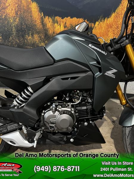 2025 Kawasaki Z125 PROImage 6