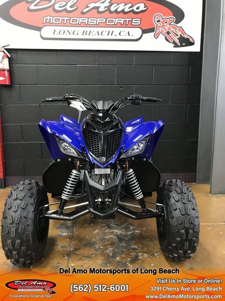 2024 Yamaha RAPTOR 110Image 10