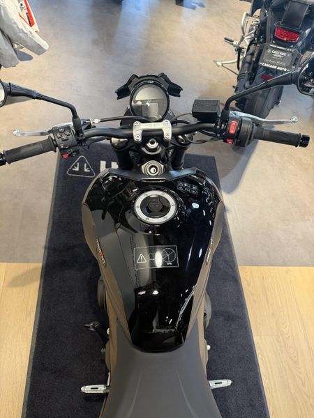 2026 Triumph Trident 800