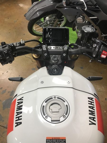 2024 Yamaha XSR900 Image 8