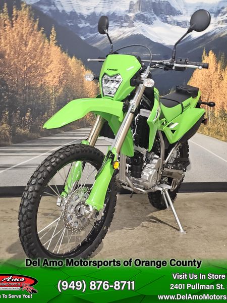 2025 Kawasaki KLX 300Image 4