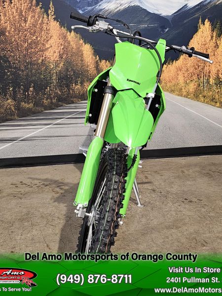 2025 Kawasaki KLX 300Image 4